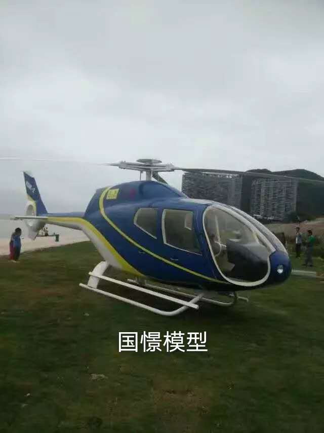 静乐县飞机模型